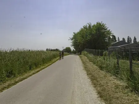 Charmant gîte avec terrasse, proche centre Troyes, animaux acceptés, équipements complets. - Photo 24