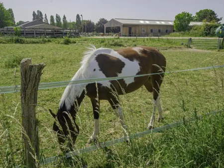 Charmant gîte avec terrasse, proche centre Troyes, animaux acceptés, équipements complets. - Photo 25