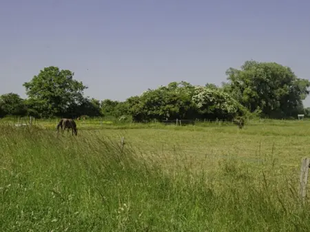 Charmant gîte avec terrasse, proche centre Troyes, animaux acceptés, équipements complets. - Photo 26