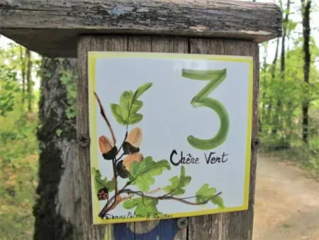 Le Chêne Vert, Maison 7 personnes à Loupiac - Photo 20