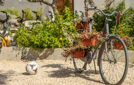 Location Appartement 2 personnes à Bibinje - Photo 11