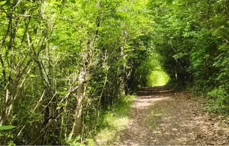 Location Appartement 6 personnes à Marzabotto - Photo 9