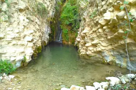 El Tajil, Ferme au bord de la rivière à Algarinejo - Photo 36