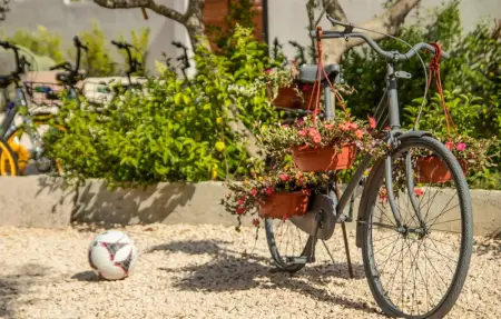 Location Appartement 4 personnes à Bibinje - Photo 10