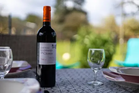 Le Gîte de la Croix d'Orebus, Maison 4 personnes à Saint Léon sur Vézère - Photo 35