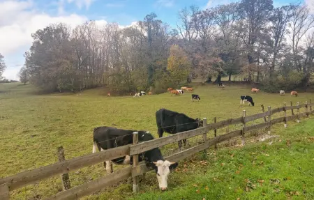 Location Maison 2 personnes à Besmont - Photo 9