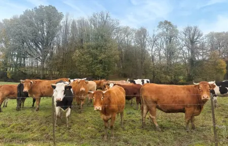 Location Maison 2 personnes à Besmont - Photo 10