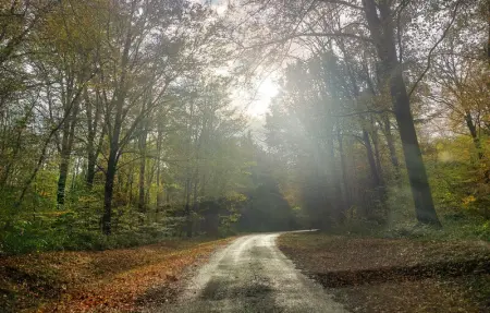 Location Maison 2 personnes à Besmont - Photo 11