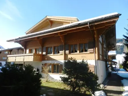Lisa, Appartement 4 personnes à Gstaad - Photo 2