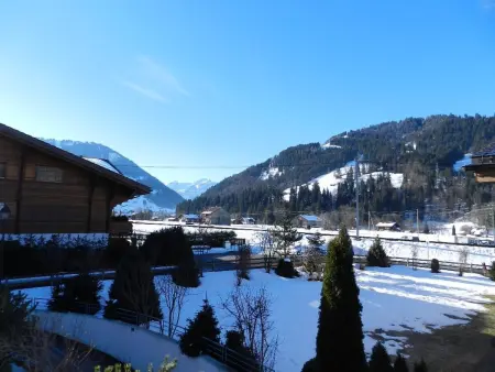 Lisa, Appartement 4 personnes à Gstaad - Photo 6