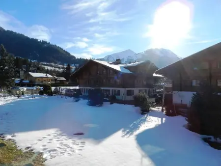 Lisa, Appartement 4 personnes à Gstaad - Photo 7
