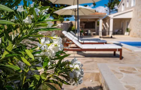 Villa Toma, Maison 10 personnes à Novalja - Photo 13