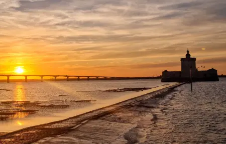 Location Maison 4 personnes à Meschers sur Gironde - Photo 23