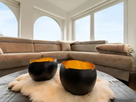 Roborstje, Maison 9 personnes à Zwalm - Photo 9