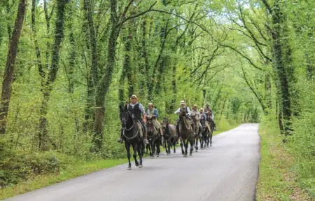 Casa Castello Palli, Maison 6 personnes à Follonica - Photo 14
