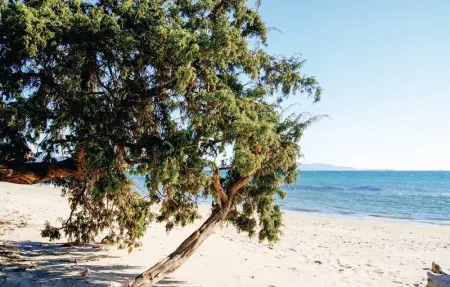 Casa Castello Palli, Maison 6 personnes à Follonica - Photo 16