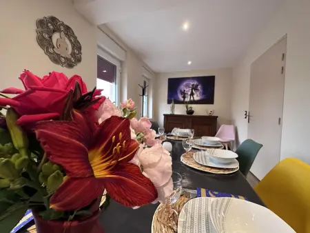 Gîte cosy avec spa, jeux extérieurs et animaux acceptés - Photo 10