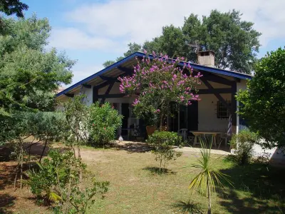 Maison à Capbreton, Grande maison landaise près du port de Capbreton, 4 chambres, jardin, animaux admis - L980373