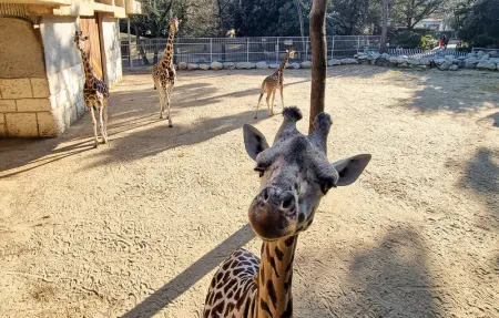 Location Appartement 6 personnes à Royan - Photo 29