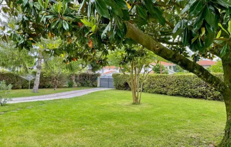 Location Maison 6 personnes à Angresse - Photo 14