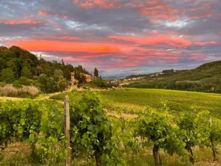 Casa Tibesa, Appartement 4 personnes à San Gimignano - Photo 47