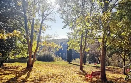 Location Maison 4 personnes à Pech Luna - Photo 11