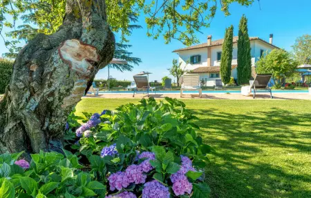 Location Maison 18 personnes à Bagnoregio - Photo 5