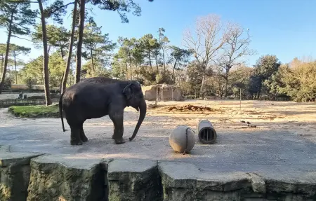 Appartement - Royan, Appartement 2 personnes à Royan - Photo 20
