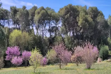 LA BOUSCADE MASTER HOUSE, Maison 7 personnes à Puisserguier - Photo 34
