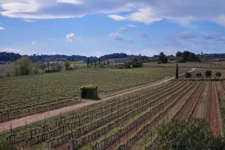 LA BOUSCADE MASTER HOUSE, Maison 7 personnes à Puisserguier - Photo 37