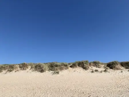 Green Garden 23 - 204 with shared pool, Appartement 2 personnes à De Haan - Photo 22