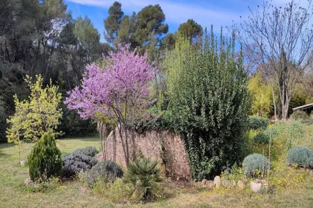 LA BOUSCADE GUESTHOUSE, Maison 8 personnes à Puisserguier - Photo 15