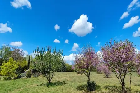 LA BOUSCADE GUESTHOUSE, Maison 8 personnes à Puisserguier - Photo 16