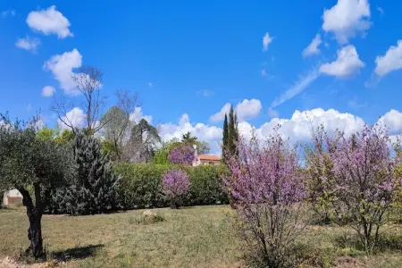 LA BOUSCADE GUESTHOUSE, Maison 8 personnes à Puisserguier - Photo 17
