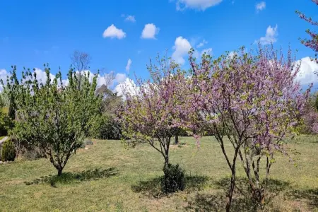LA BOUSCADE GUESTHOUSE, Maison 8 personnes à Puisserguier - Photo 19
