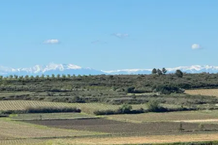 LA BOUSCADE GUESTHOUSE, Maison 8 personnes à Puisserguier - Photo 34