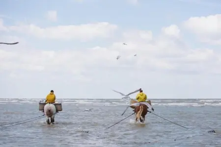 PLAZA A2/0022, Appartement 4 personnes à Oostduinkerke - Photo 30