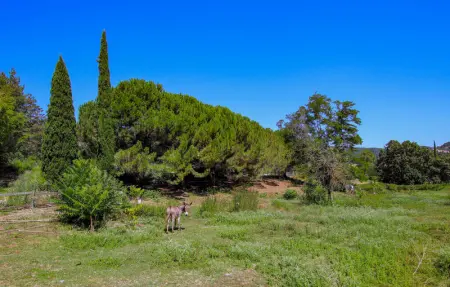Location Maison 4 personnes à Aubenas - Photo 11