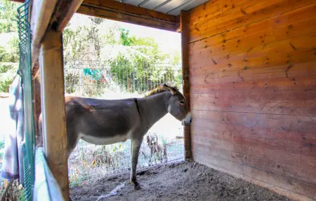 Location Maison 4 personnes à Aubenas - Photo 16