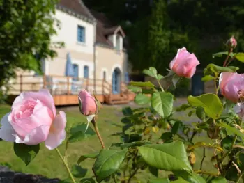 Cottage in Chambourg sur Indre,Maison de caractère 1840 en Touraine avec grand jardin, pêche, à proximité de Loches et châteaux. FR-1-381-558 N°980968