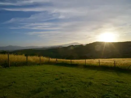 Magnolia, Appartement 4 personnes à San Casciano dei Bagni - Photo 28
