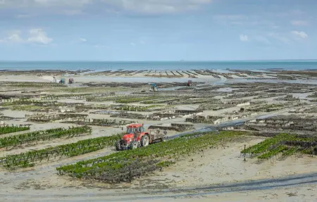 Location Maison 13 personnes à Cancale - Photo 21