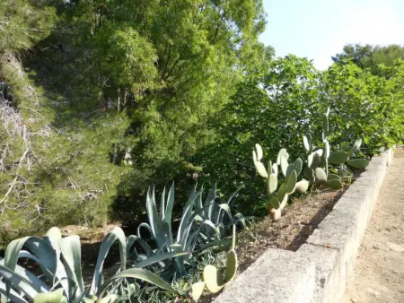 Lu Sule, Appartement 8 personnes à Torre Vado - Photo 29