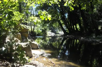 Chalet à Saint Jean de Valériscle,Camping L'Orée des Cévennes - Chalet 427571 N°627572