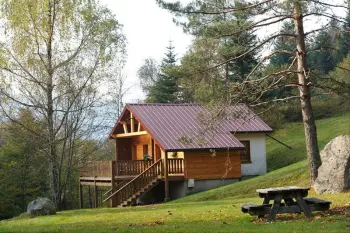 Chalet en La Bresse,Superbe chalet traditionnel en lisiere de foret a La Bresse renove calme 449632 N°651651