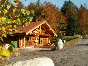 Chalet en La Bresse,Sublime chalet rondins de 140 m² en lisiere de foret et ruisseau La Bresse wifi 449638 N°651657