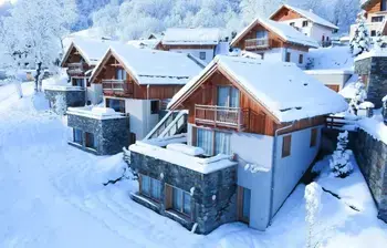 Chalet in Valloire,Chalet Le Mas des Neiges 502122 N°688544