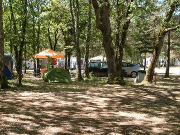Location Chalet à Pezuls,CAMPING LA FORET - Chalet - N°981505