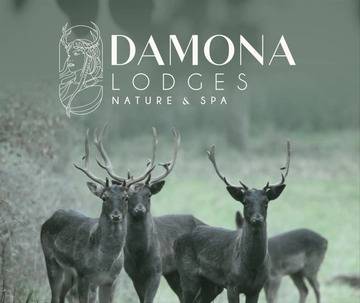 Location Chalet à Vairé,Damona Lodges - Lodge adapté PMR avec Spa - Bohème 1011463 N°985013