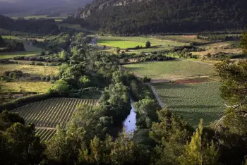 Cabane à Bize Minervois, Camping Olivigne - Cahute des randonneurs 18m²  - 2 chambres - sans sanitaire 1015986 N°985147